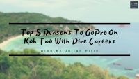 Top 5 Reasons To GoPro On Koh Tao With Dive Careers