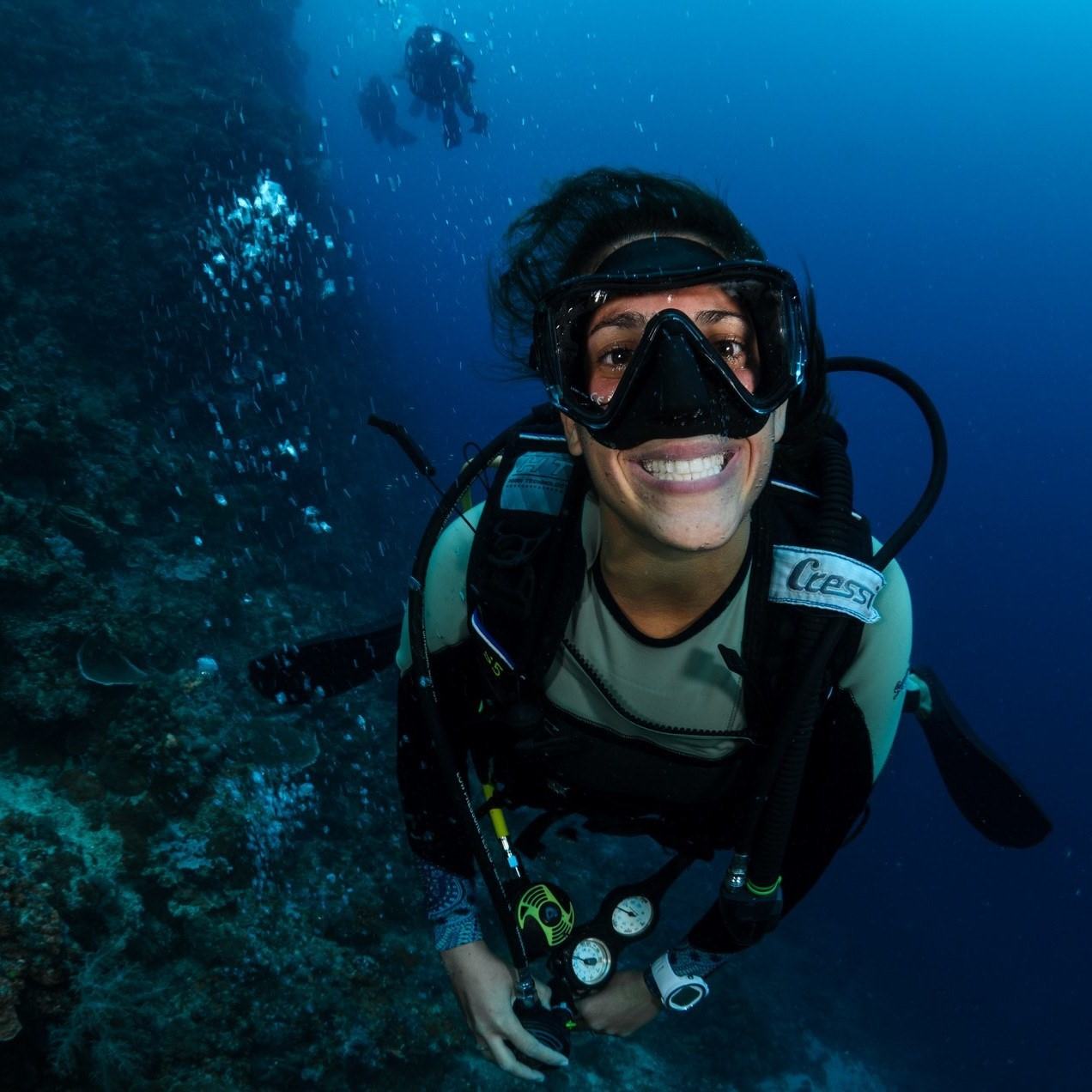 bohol philippines diving internships